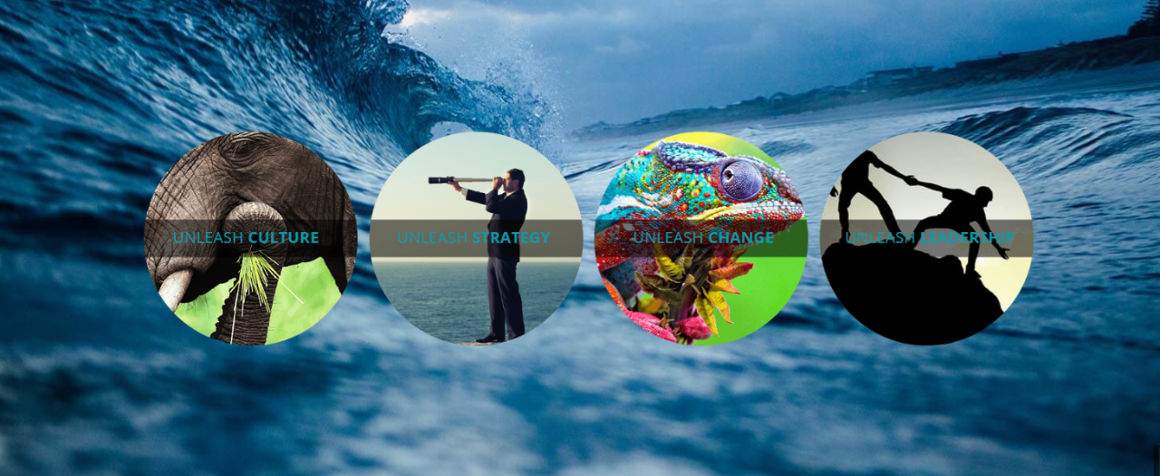 Culture, Strategy and Leadership in the Age Care Sector